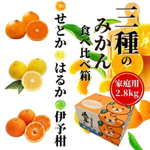 《2027年2月頃から順次発送》【三種のみかん食べ比べ箱】せとか・はるか・宮内伊予柑 （家庭用）2.8kg | 愛媛 みかん 蜜柑 柑橘 果物 くだもの フルーツ お取り寄せ グルメ 期間限定 数量限定 人気 おすすめ 愛媛県 松山市 【PT0211】