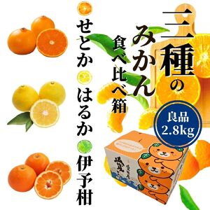 《2027年2月上旬頃から順次発送》【三種のみかん食べ比べ箱】 せとか・はるか・宮内伊予柑 （良品）2.8kg | 食べくらべ 愛媛 みかん 詰め合わせ セット 蜜柑 柑橘 果物 くだもの フルーツ お取り寄せ グルメ 期間限定 数量限定 人気 おすすめ 愛媛県 松山市 【PT0041】