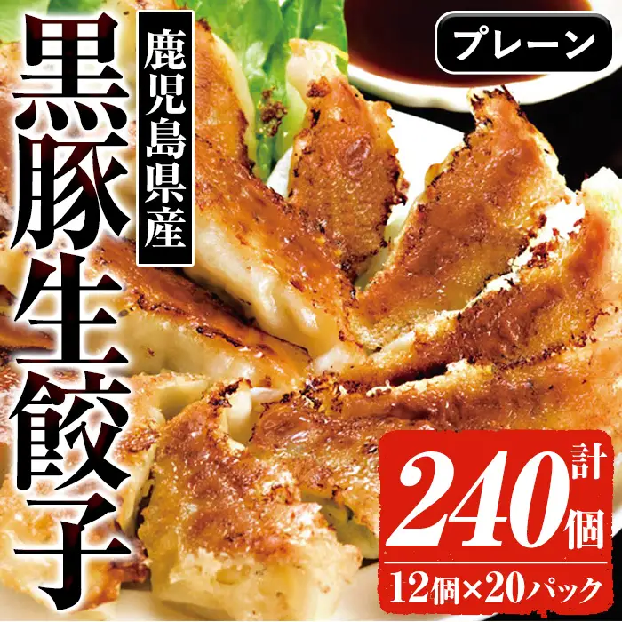 ☆大容量☆＜焼くだけ＞鹿児島黒豚生餃子 合計240個！（12個×20P）【00-008-27-60】