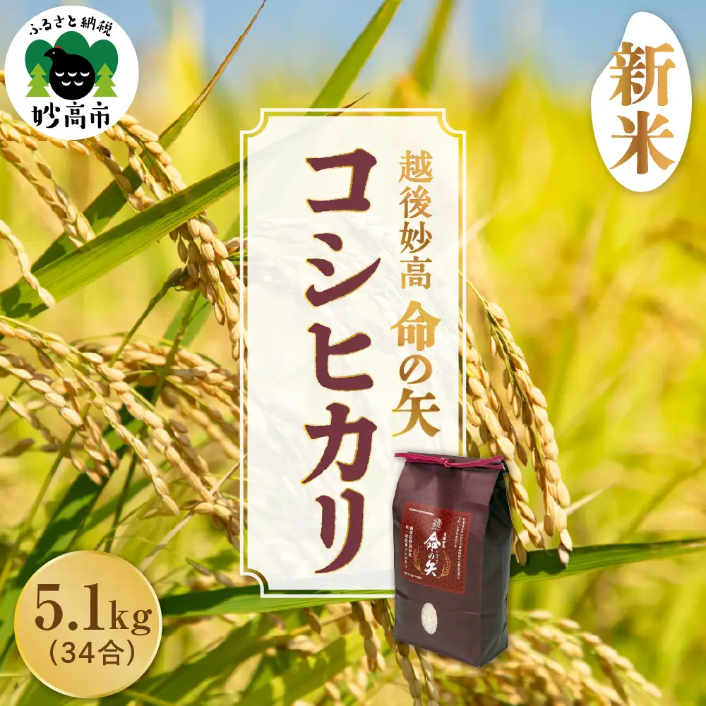 先行予約 令和8年産 越後妙高命の矢 コシヒカリ 5.1kg 妙高産