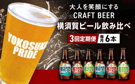 【全3回定期便】飲み比べ ビール 3種　6本セット （330ml瓶×計18本）クラフトビール 【有限会社たのし屋本舗】[AKAE050]