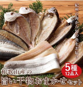 和歌山産 干物詰め合わせセット 5種12品入り【無添加・無着色】【mtgn106】