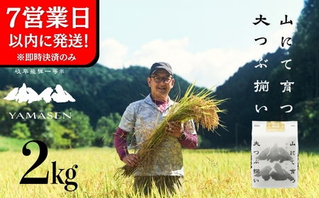 即納【令和7年産米】山仙 (いのちの壱) 2kg×1袋【51-27】