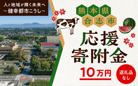 【応援寄附金】熊本県合志市 1口 10万円 返礼品なしのご寄附　【合志市役所】[AYBZ003]