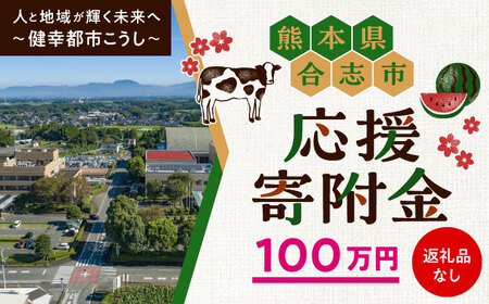 【応援寄附金】熊本県合志市 1口 100万円 返礼品なしのご寄附　【合志市役所】[AYBZ005]