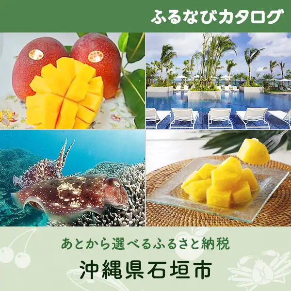 【有効期限なし！後からゆっくり特産品を選べる】沖縄県石垣市カタログポイント