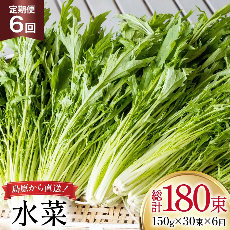 AI339 定期便 6回 水菜 30束 [長崎県 島原市]