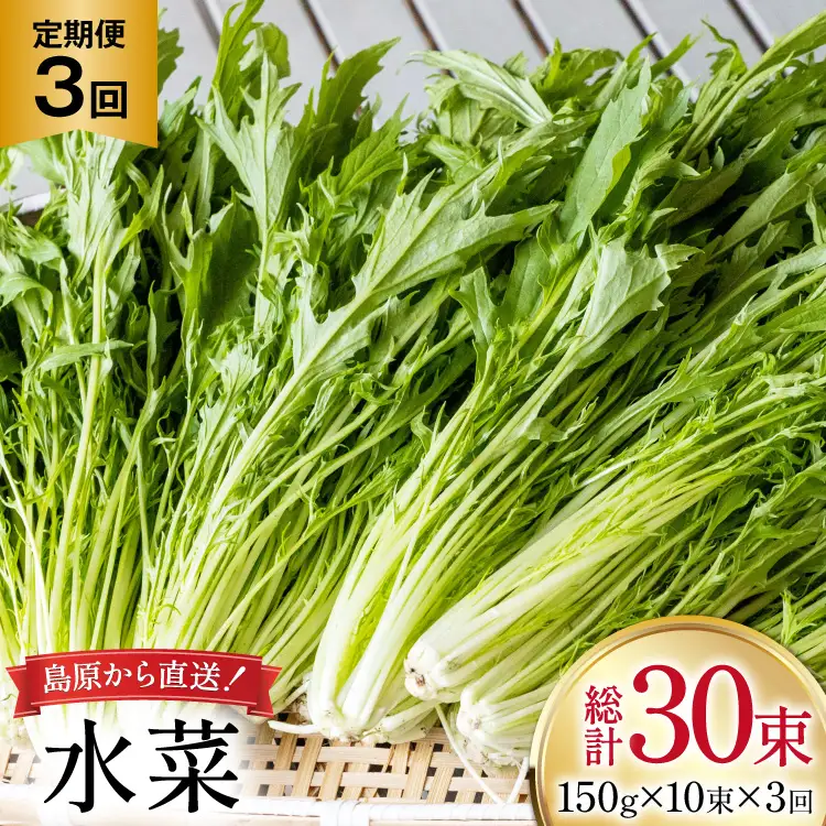 AI335 定期便 3回 水菜 10束 [長崎県 島原市]