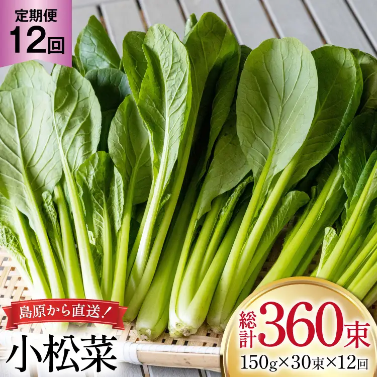 AI334 定期便 12回 小松菜 30束 [長崎県 島原市]