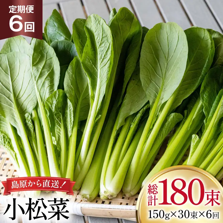 AI333 定期便 6回 小松菜 30束 [長崎県 島原市]