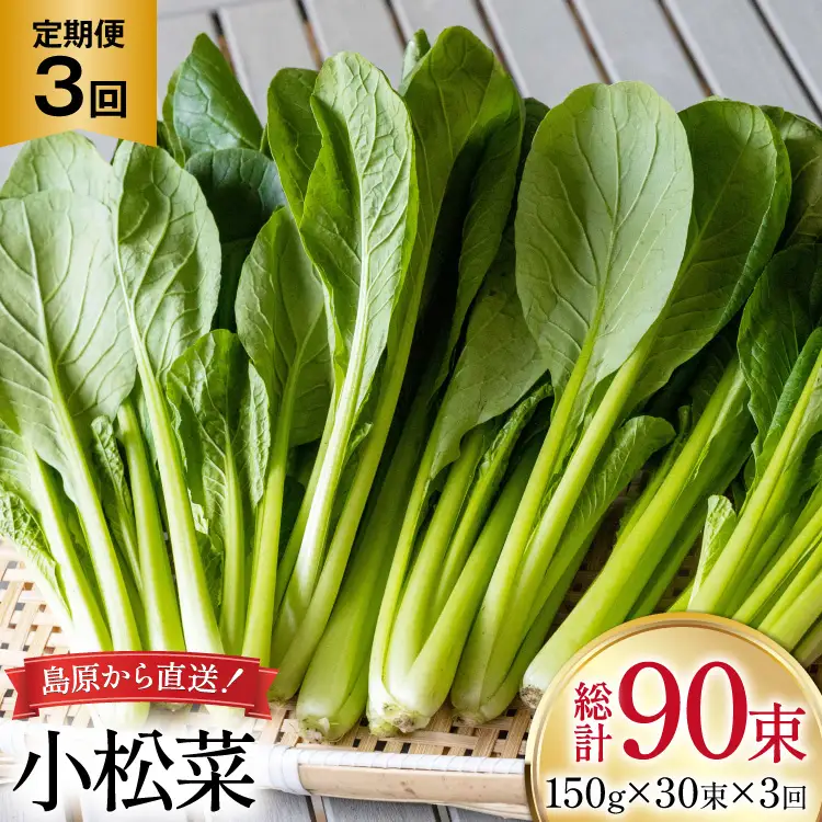 AI332 定期便 3回 小松菜 30束 [長崎県 島原市]