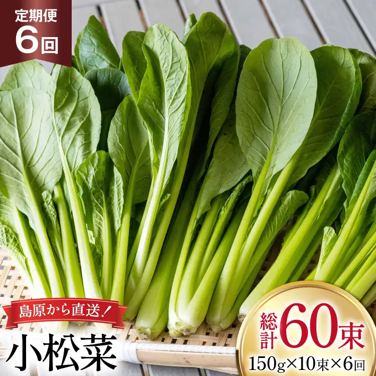 AI330 定期便 6回 小松菜 10束 [長崎県 島原市]