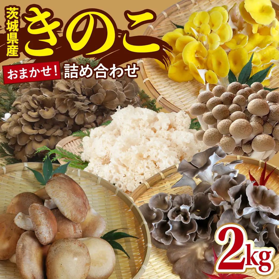 きのこ の 詰め合わせ 約2kg Lサイズ 城里町産 舞茸 椎茸 あわび茸 たもぎ茸 はなびら茸 ぶなしめじ 完全室内栽培 栄養豊富 こだわりのキノコ詰め合わせ 直送 新鮮 セット (AU002)