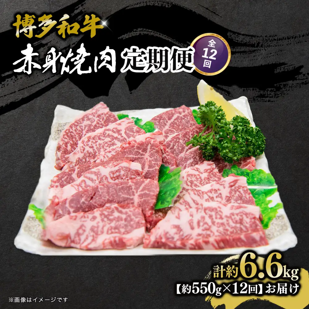 博多和牛 赤身焼肉 定期便全12回 肉 お肉 焼肉 牛 牛肉 和牛 バーベキュー BBQ 冷凍 福岡 八女 072-T123