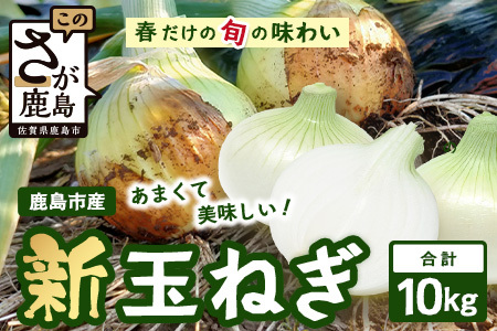鹿島市産 新玉ねぎ 合計10kg B-842 たまねぎ 玉葱 サラダ 料理【2026年4月中旬より順次発送】