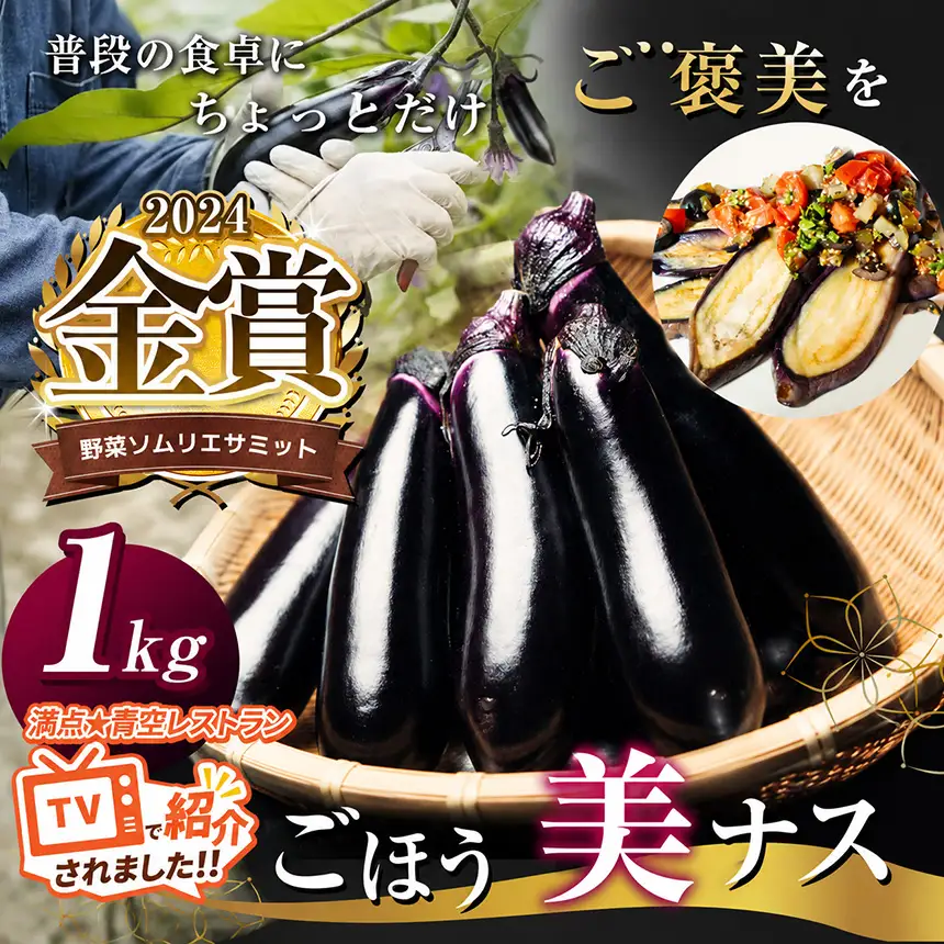 野菜ソムリエサミット金賞「ごほう美ナス」 約1kg