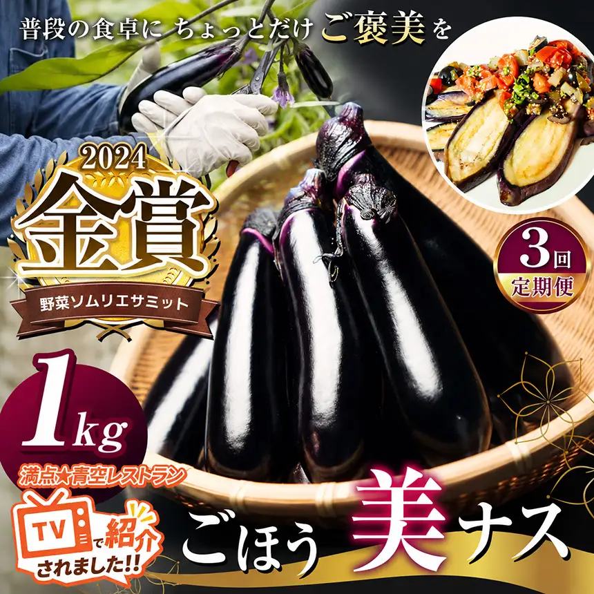 【定期便3回】野菜ソムリエサミット金賞「ごほう美ナス」 約1kg 
