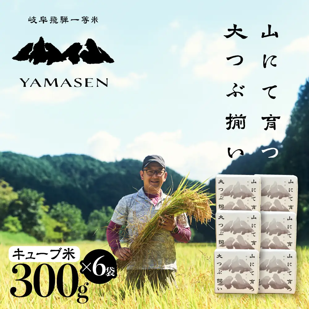 【令和7年産米】山仙 (いのちの壱) キューブ米 6個 （1個 300g（2合））【51-23】