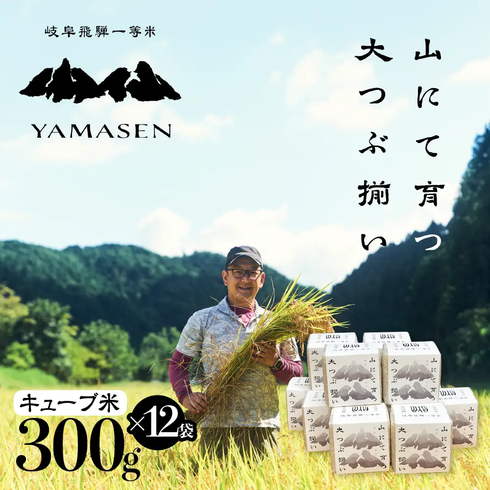【令和7年産米】山仙 (いのちの壱) キューブ米 12個 （1個 300g（2合））【51-24】