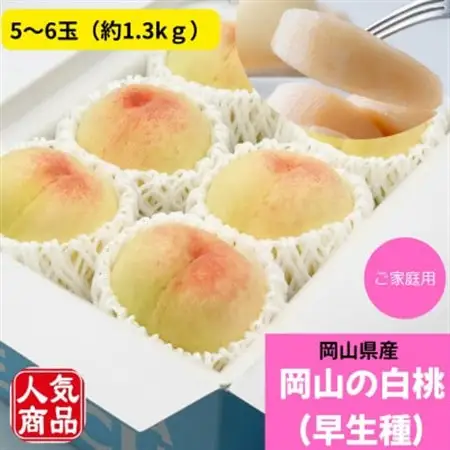【2026年発送】ご家庭用　岡山の白桃(早生種)　約1.3kg(5～6玉)【配送不可地域：離島】【1614302】