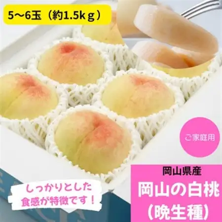 【2026年発送】ご家庭用　白桃(晩生種)　 約1.5kg(5～6玉)【配送不可地域：離島】【1614305】