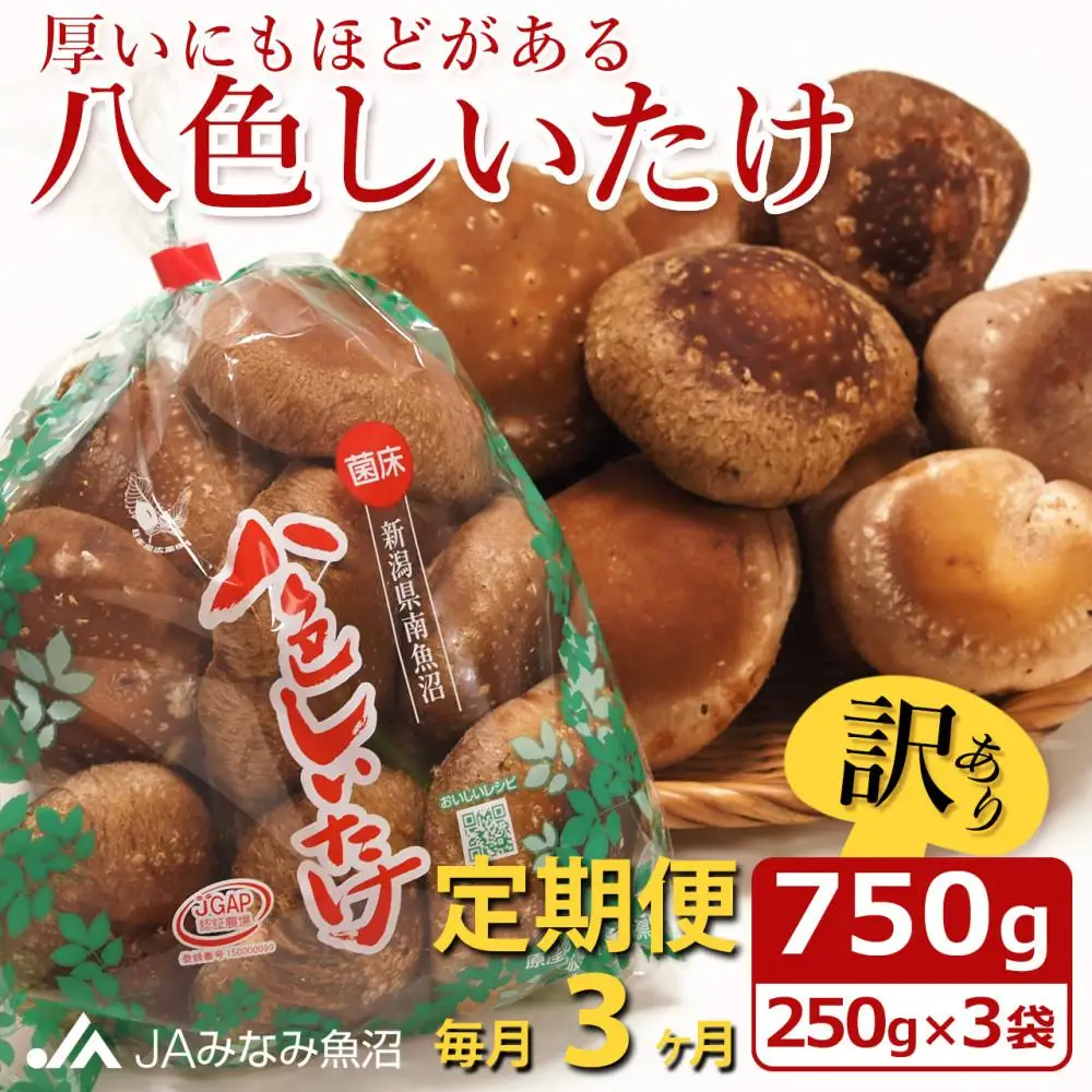 【JAみなみ魚沼定期便】家庭用「八色しいたけ」（750g×全3回） 訳あり 不ぞろい 農家応援 厚いにもほどがある≪定期便しいたけ 南魚沼 訳あり 不ぞろい 厚い 家庭用 農家応援 きのこ 食材 グルメ 料理 家庭料理 新潟県 特産品 国産 野菜 冬季 食材≫