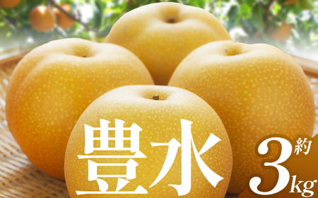 【先行予約】【2026年9月より順次発送】 梨 豊水 3kg |  | 栃木県 下野市