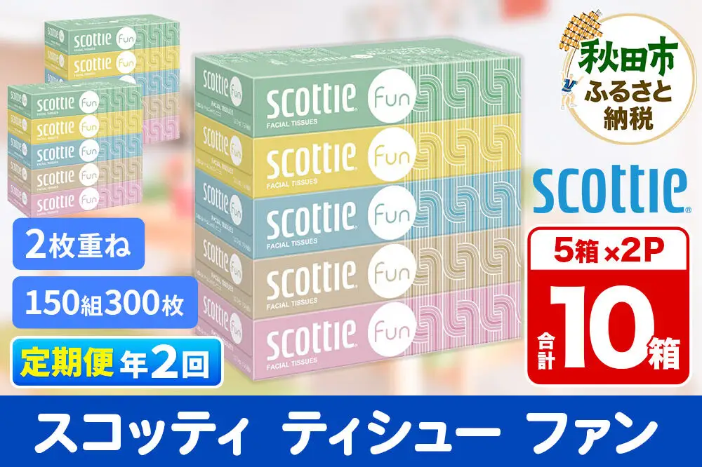 《6ヶ月ごとに2回お届け》定期便 ティッシュペーパー スコッティ ティシュー ファン 150組 5箱×2パック 秋田市オリジナル
