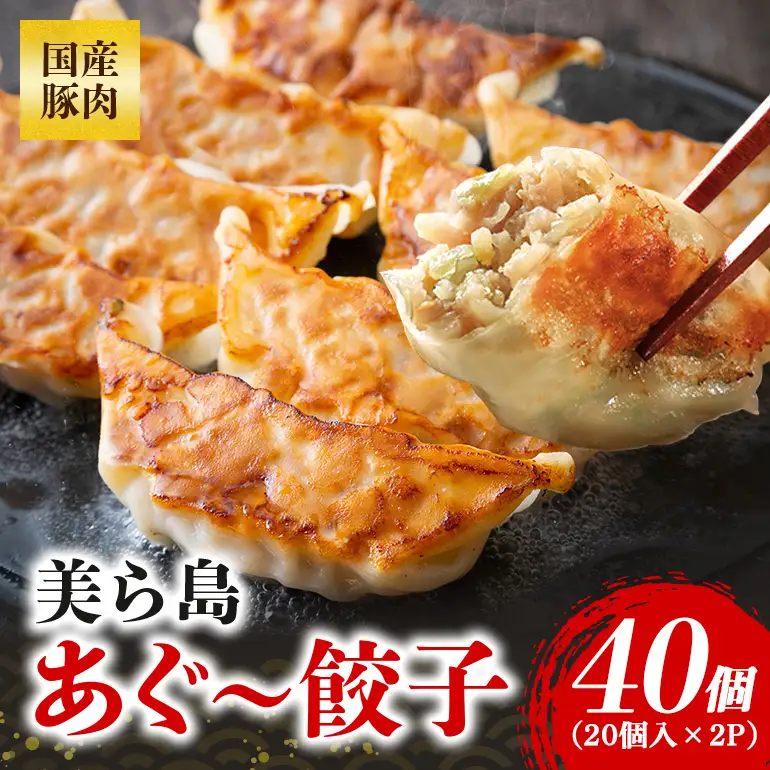 美ら島あぐー餃子 40個セット 20個入×2パック 絶品 こだわり 豚 肉 国産 ごはん おかず お弁当 冷凍 ぎょうざ ギョウザ 小分け BBQ ギョーザ 惣菜 晩酌 ギフト 手作り 生餃子 豚肉 冷凍食品 おつまみ 冷凍餃子 ブランド豚 総菜 中華 焼き餃子 沖縄県 糸満市 61-24