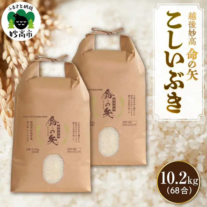 先行予約 令和8年産 越後妙高命の矢 こしいぶき 10.2kg 妙高産