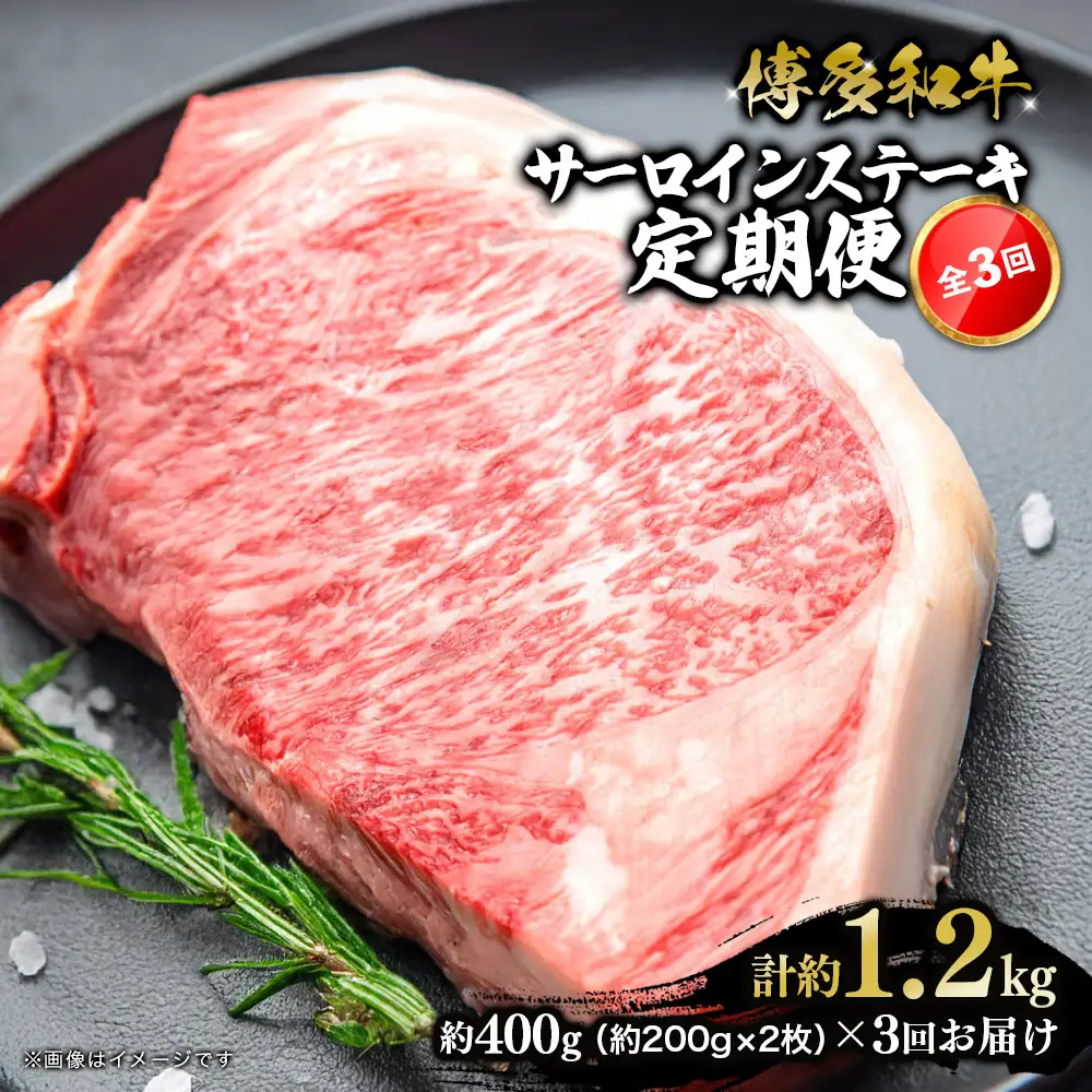 博多和牛 サーロインステーキ 定期便全3回 肉 お肉 焼肉 牛 牛肉 和牛 バーベキュー BBQ ステーキ 焼肉 072-T132