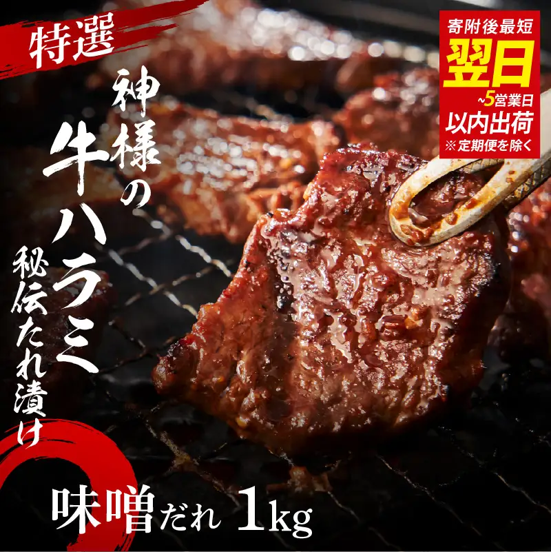 特選神様の牛ハラミ 秘伝たれ漬け 1kg（味噌だれ2p）