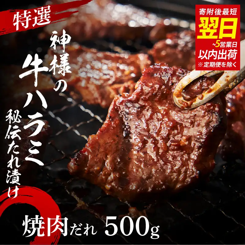 特選神様の牛ハラミ 秘伝たれ漬け 500g（焼肉だれ1p）