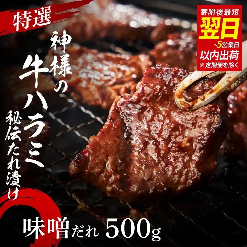 特選神様の牛ハラミ 秘伝たれ漬け 500g（味噌だれ1p）