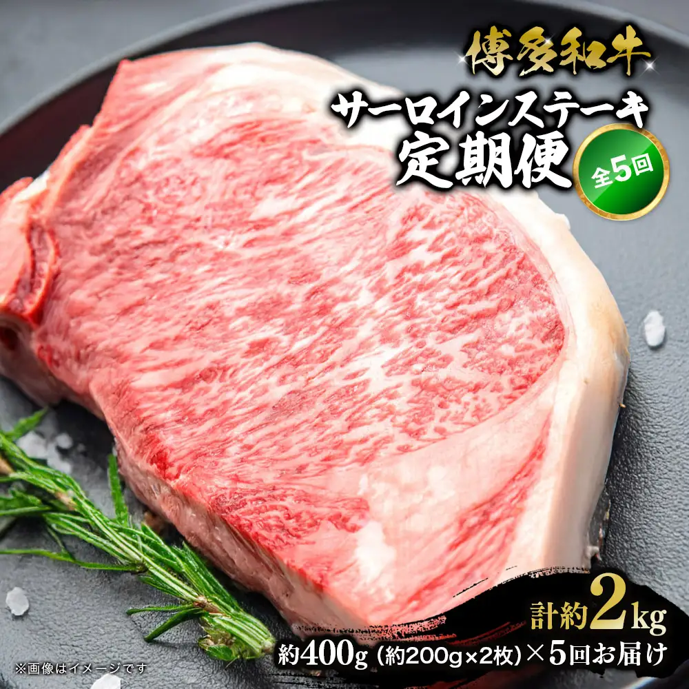 博多和牛 サーロインステーキ 定期便全5回 肉 お肉 和牛 牛肉 焼肉 ステーキ BBQ バーべキュー 072-T133