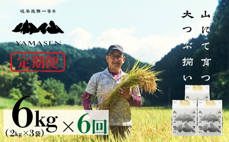 令和7年産米【定期便】山仙（いのちの壱）【2kg×3袋（6kg）×6回】【51-U】