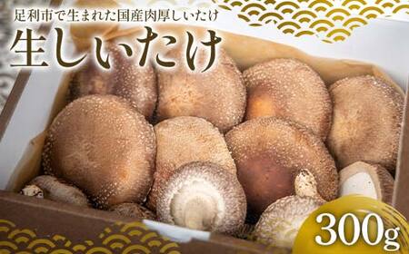 純国産菌床しいたけ 生しいたけ300g 国産 野菜 椎茸 栃木 F7Z-1352