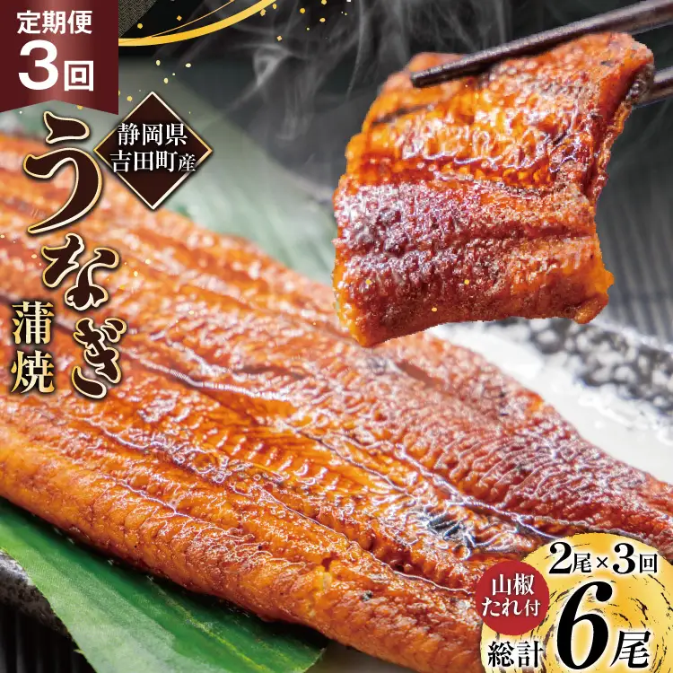 うなぎ 国産 静岡 定期便 蒲焼 150g以上 2尾 3回 総計6尾 [大井川うなぎ 静岡県 吉田町 22424567]