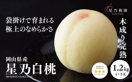 先行受付【星乃白桃】岡山県の桃園からお届けする三つ星の桃 1.2kg (4～5玉)【配送不可地域：離島・北海道・沖縄県】【1614276】