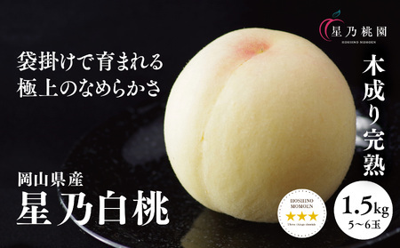先行受付【星乃白桃】岡山県の桃園からお届けする三つ星の桃 1.5kg(5～6玉)【配送不可地域：離島・北海道・沖縄県】【1614279】
