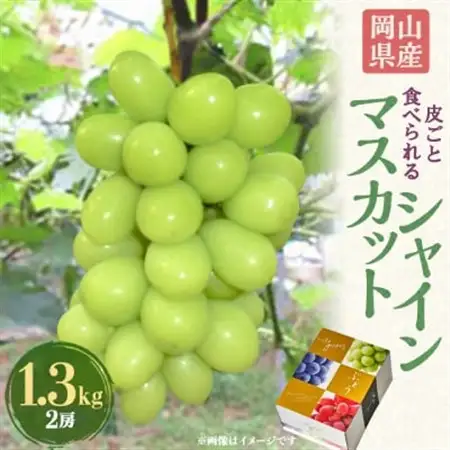 岡山県産シャインマスカット1.3kg(2房)_果物・フルーツ ぶどう・マスカット  ブドウ 葡萄 _【配送不可地域：離島】【1615817】