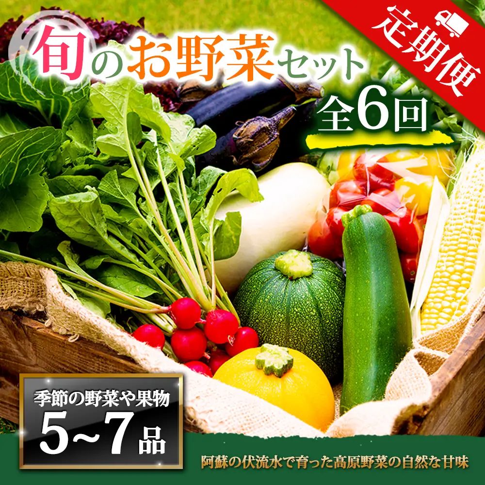 【定期便 全6回】畑から直送  季節のお野菜セット Mサイズ 
