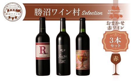 ワイン村 おまかせワイン（赤）3本セット（KWV）D4-620