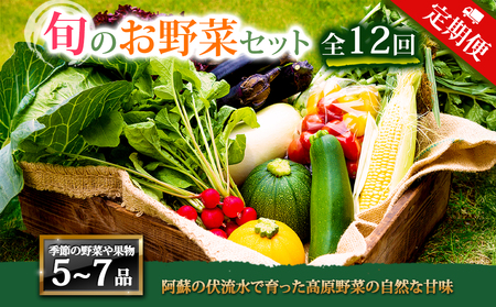 【定期便 全12回】畑から直送  季節のお野菜セット Mサイズ 