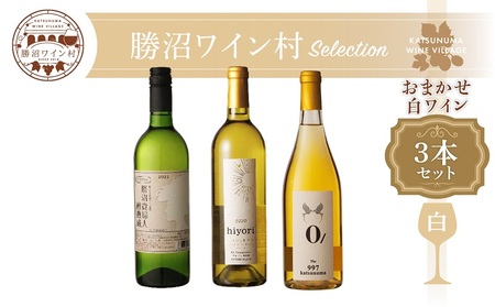 ワイン村 おまかせワイン（白）3本セット（KWV）C5-620