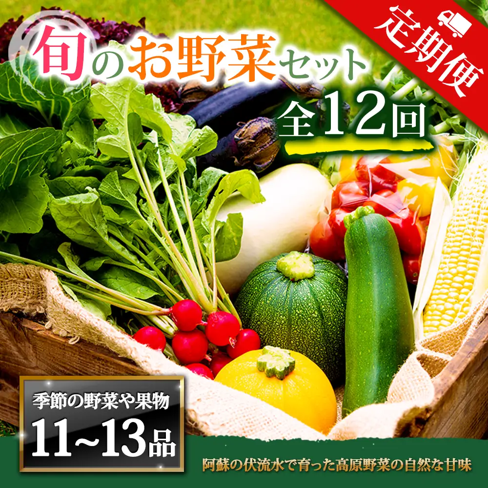 【定期便 全12回】畑から直送  季節のお野菜セット XLサイズ 
