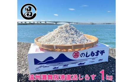 しらす 遠州灘舞阪港直送 しらす干し 1kg (250g×4袋) 小分け 冷凍 シラス 【配送不可:離島】 浜松市