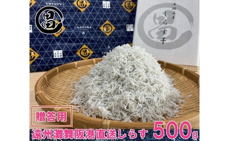 しらす 遠州灘舞阪港直送 贈答用 しらす干し 500g 冷凍 シラス 【配送不可:離島】 浜松市
