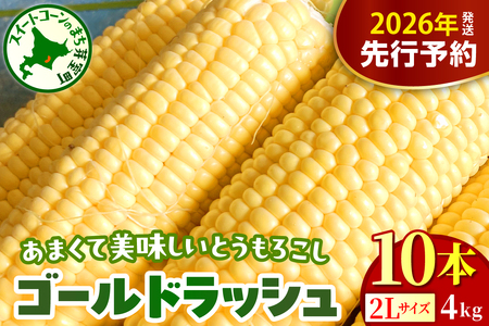 【先行受付】【2026年8月上旬～8月下旬頃配送】北海道十勝芽室町 とうもろこし ゴールドラッシュ 2Lサイズ 10本セット キャンプ飯 BBQ ソロキャン人気 トウモロコシ 生 野菜 北海道 十勝 芽室町 送料無料 お取り寄せme078-003c-26
