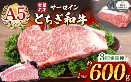 【栃木県共通返礼品】【定期便3回】宮福笑牛(とちぎ和牛) A5 サーロインステーキ　約200gx3枚  | 栃木県 下野市